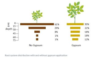 Agricultural gypsum
